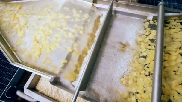 Macchina industriale con liquido schiumoso sta elaborando pezzi di patate — Video Stock