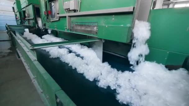 Les machines d'usine fonctionnent avec de la fibre de polyester blanche, la déplaçant sur un convoyeur . — Video