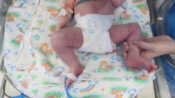 Woman is holding a babys tiny leg — 비디오