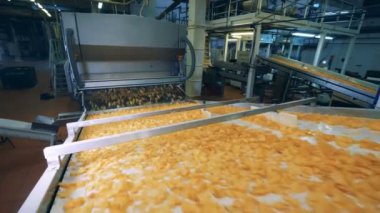 Gıda fabrikası konveyör patates cipsi çok taşır.