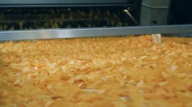 Bir gıda üretim tesisinde otomatik konveyör üzerinde kızarmış cips lots hareket.