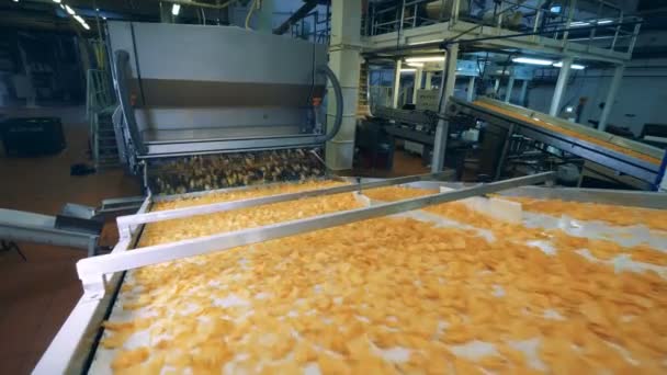 Food Factory transporteur beweegt veel aardappelchips. — Stockvideo