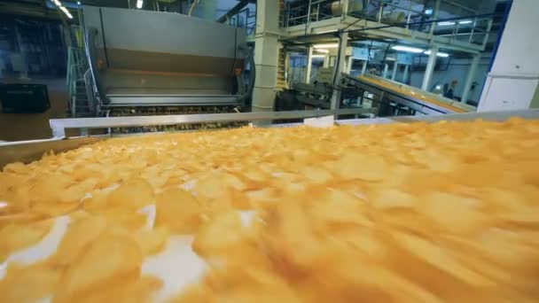 Chips amarillos transportados en un transportador de fábrica en una instalación de alimentos . — Vídeos de Stock
