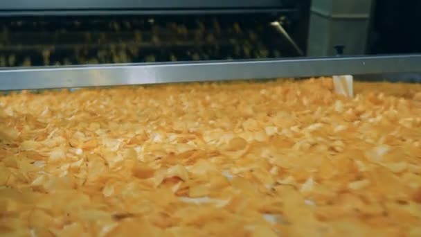 Muchas patatas fritas se mueven en un transportador automatizado en una planta de producción de alimentos . — Vídeos de Stock
