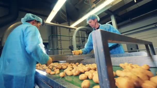 Dos hombres trabajan en una planta de alimentos, cortando papas limpias . — Vídeo de stock