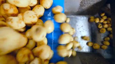 Hareketli çizgi bir kap içine soyulmuş patates çok iter.