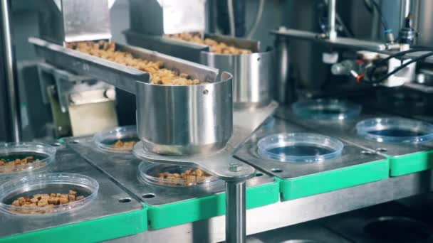 Baked breads poured into containers at a food factory. — Stock Video