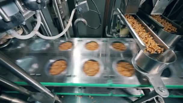 Geautomatiseerde transportband vult containers met droog brood in een levensmiddelen fabriek. — Stockvideo