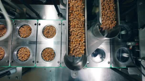 Lotes de pães assados classificados em recipientes em uma fábrica de alimentos . — Vídeo de Stock