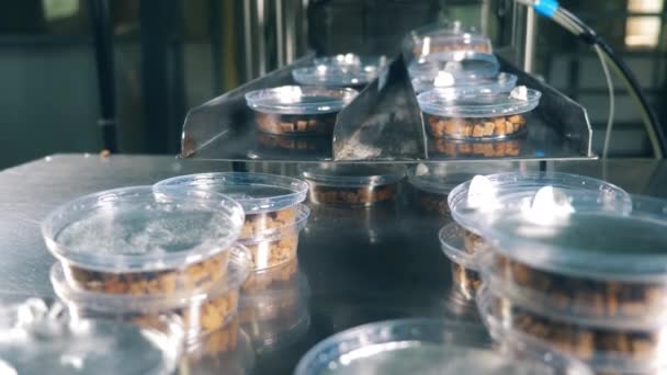 Trabajador de fábrica toma contenedores con panes secos de un transportador . — Vídeos de Stock