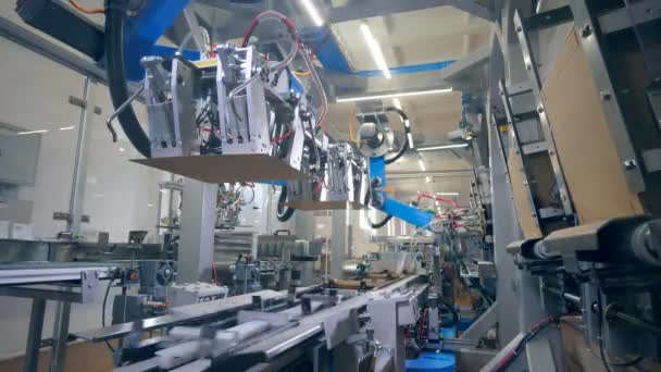 Le macchine di fabbrica collegano parti di scatole di cartone su una linea . — Video Stock