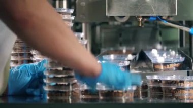Fabrika çalışanı ekmek kırıntıları ile plastik tabak istifleme