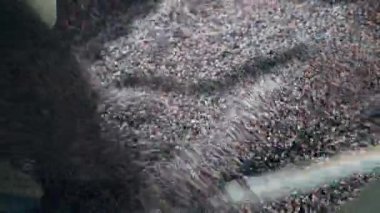 Kahve çekirdekleri metal bir mekanizma tarafından karıştırılıyor