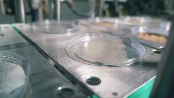 El papel de aluminio está sellando platos con bocadillos de pan mecánicamente — Vídeo de stock
