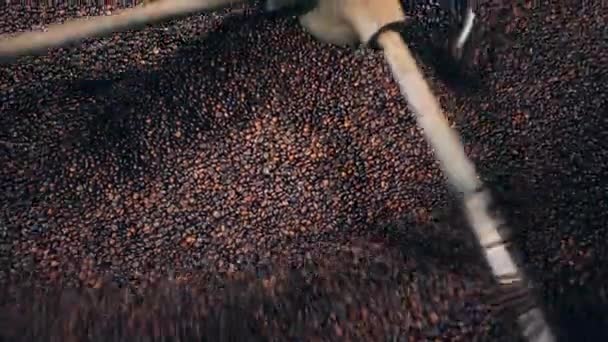 Заводская машина перемешивает кофейные зерна — стоковое видео