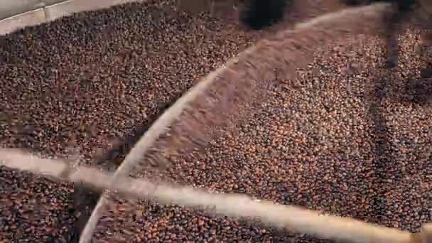 Sementes de café estão sendo misturadas por uma ferramenta de fábrica — Vídeo de Stock