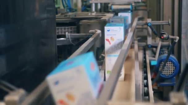 Cajas de cartón etiquetadas se mueven a lo largo de la cinta transportadora — Vídeo de stock