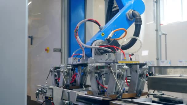 ロボットマシンはカートンボックスを形作っています — ストック動画
