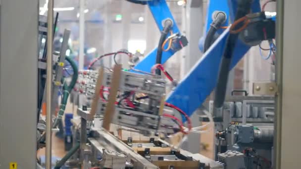 Fabrikmechanismus stellt Kartonpackungen her. moderne Fabrikausstattung. — Stockvideo