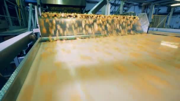 Fast flow of crisps along the metal conveyor — Stock Video