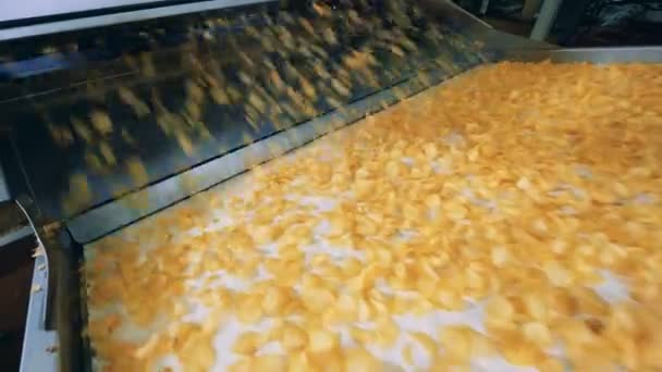 Много картофельных чипсов движется вдоль транспортера — стоковое видео
