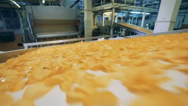 Industrial machine is transporting potato snacks — Stock Video