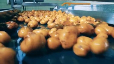 Fabrika taşıyıcı ve patates boyunca hareket