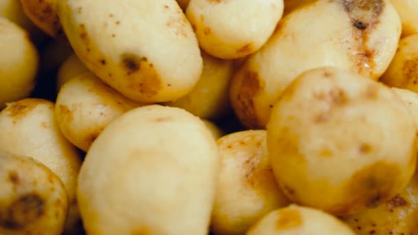 Close-up van bewegende gereinigde aardappelknollen — Stockvideo