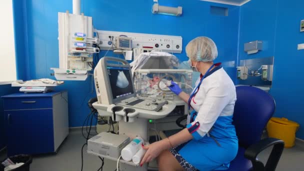 Um médico usa ultra-som para verificar um coração de recém-nascidos em um hospital . — Vídeo de Stock