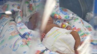 Yeni doğan bebek tıbbi cihaza bağlı bir hastane kuluçka uykusu.