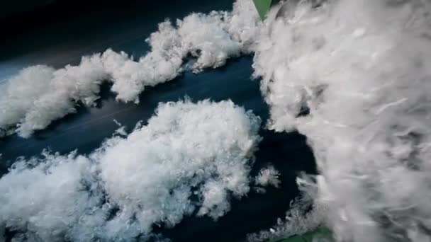 Transportador está realocando pedaços de lã de algodão — Vídeo de Stock