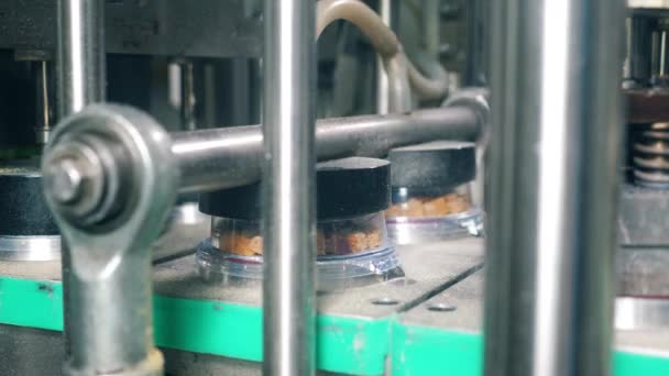 Dozen met broodkruimels worden gehecht aan containers op de riem — Stockvideo