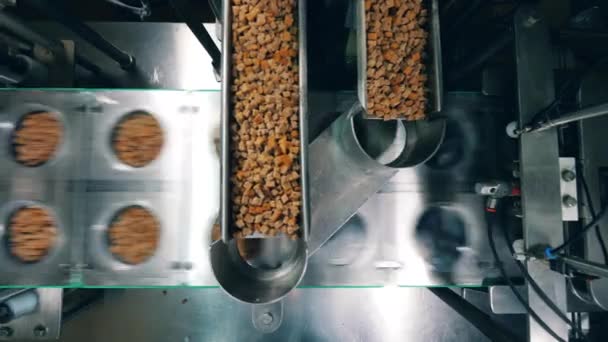 빵 간식은 기계적으로 플라스틱 상자에 부어되고있다 — 비디오