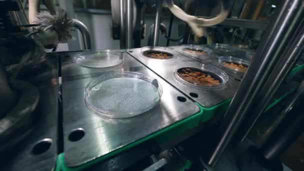 Platos con bocadillos de pan se están sellando — Vídeo de stock