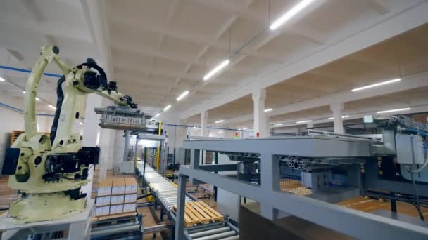 Le mécanisme robotique déplace les boîtes en carton en blocs — Video