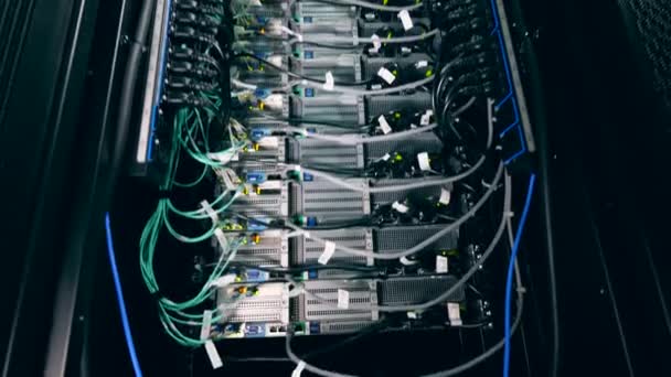 Unidad de servidor funcional con cables enchufados. Centro de datos moderno . — Vídeo de stock