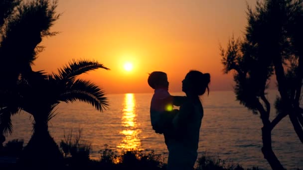 Mutter und Kind spielen vor Sonnenuntergang am Strand. Familie, Liebe, Zärtlichkeit. — Stockvideo