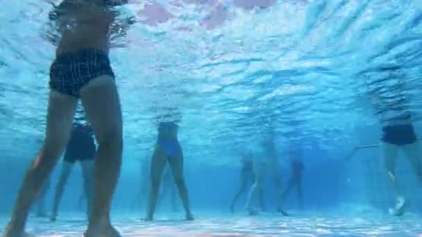 Les gens s'entraînent dans une piscine avec de l'eau . — Video