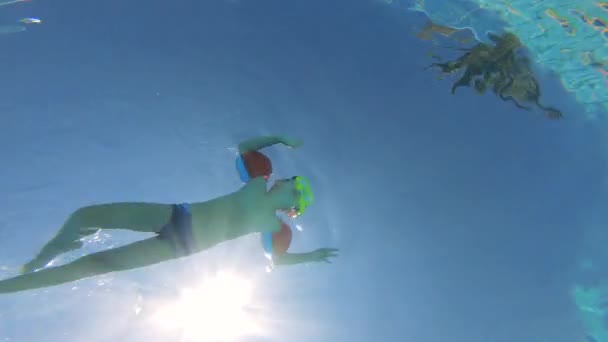 Images sous-marines d'un garçon nageant dans une piscine, portant des brassards . — Video