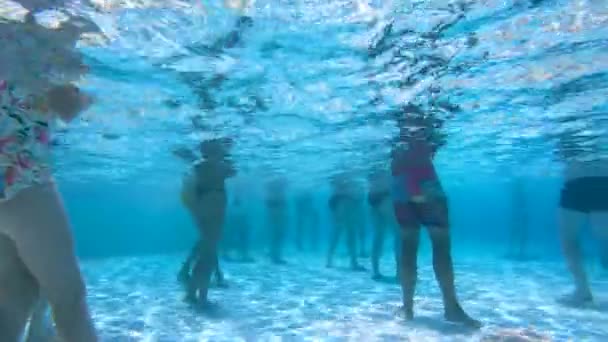 Des gens qui font de l'aquagym dans une piscine. Concept vacances d'été . — Video