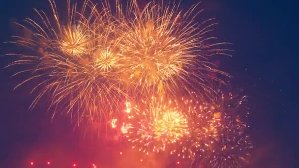 Flashes multicoloridos de fogos de artifício na escuridão — Vídeo de Stock