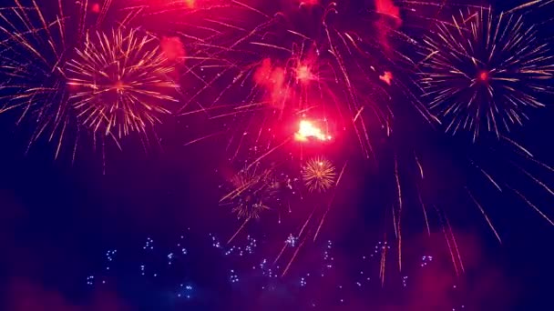 Tűzijáték felrobbant a sötétben — Stock videók
