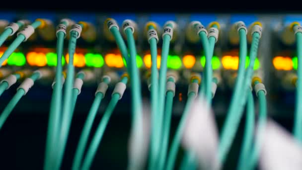 Many cables plugged to one computer in a server room. — Stock Video