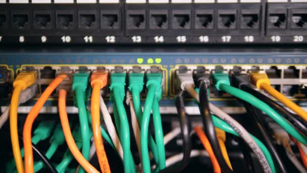 Fios coloridos conectados a um computador em uma sala de servidores . — Vídeo de Stock