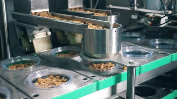 La macchina della fabbrica riempie i contenitori di plastica di pane secco. Linea di produzione robotica — Video Stock