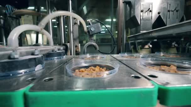 Pane essiccato confezionato in contenitori di plastica su una linea di lavoro. Processo di imballaggio alimentare — Video Stock