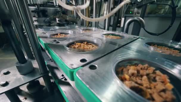 La machine d'usine emballe les contenants avec des pains séchés sur un convoyeur. Ligne d'emballage alimentaire . — Video