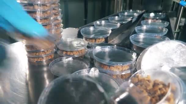 Trabajador de la fábrica de alimentos toma paquetes con galletas de pan de un transportador . — Vídeos de Stock