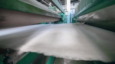 Bitki konveyörü polyester vuruş hareket ettirir, basarak.