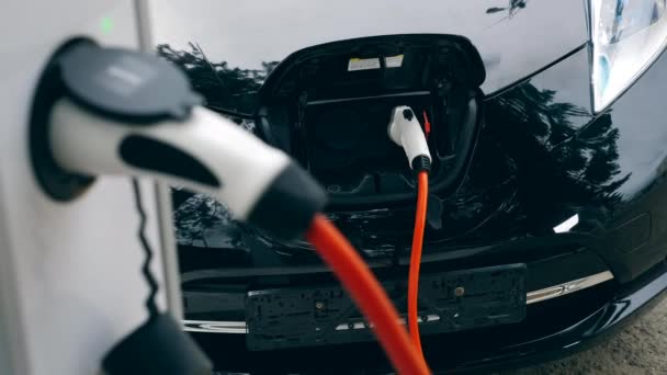 Cable de carga enchufado al enchufe del coche eléctrico y un rack. Carga de coche eléctrico . — Vídeo de stock